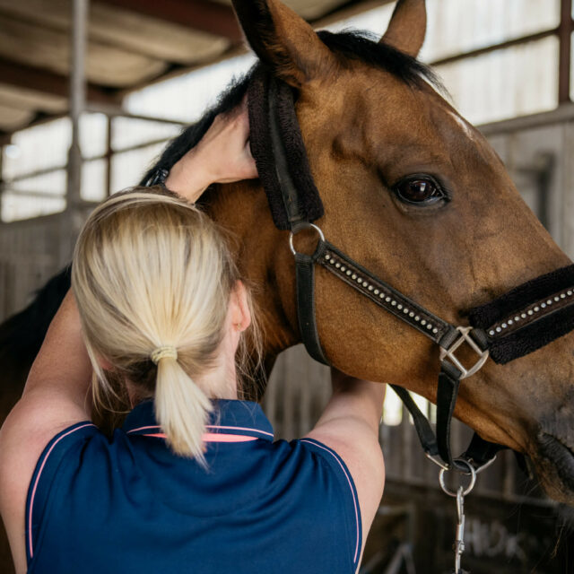 Tierphysio-bocholt-36