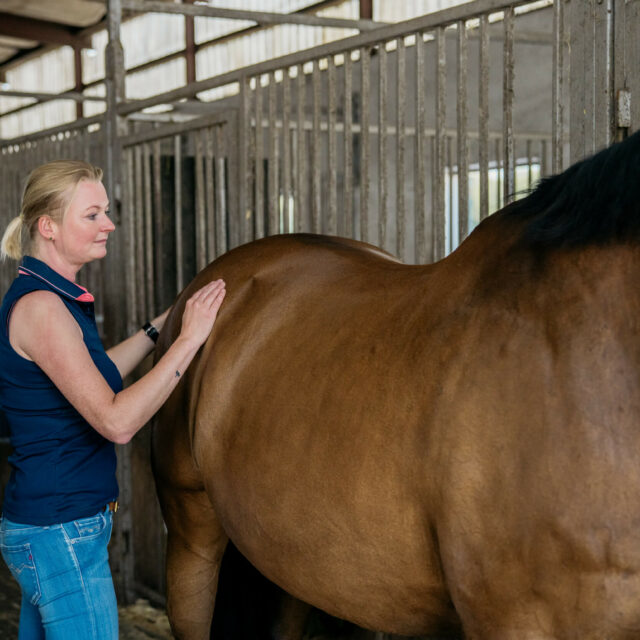 Tierphysio-bocholt-44